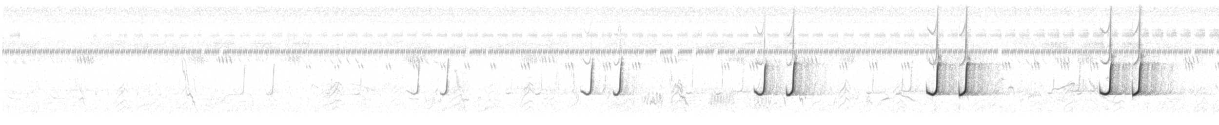 Codorniz Coromandélica - ML622118735