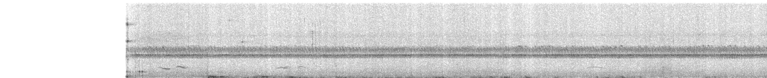 Chotacabras Pachacua - ML62211971