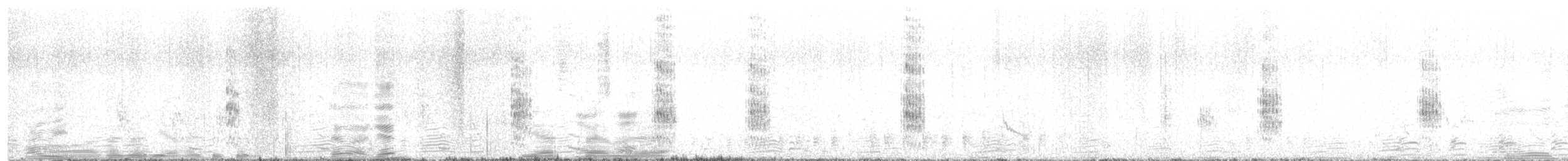 ハジロクロハラアジサシ - ML622122513