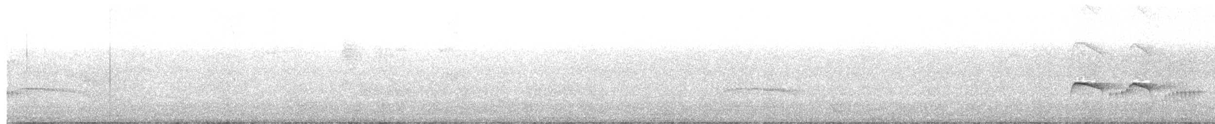 Atlantik Karınca Tiranı - ML622122693