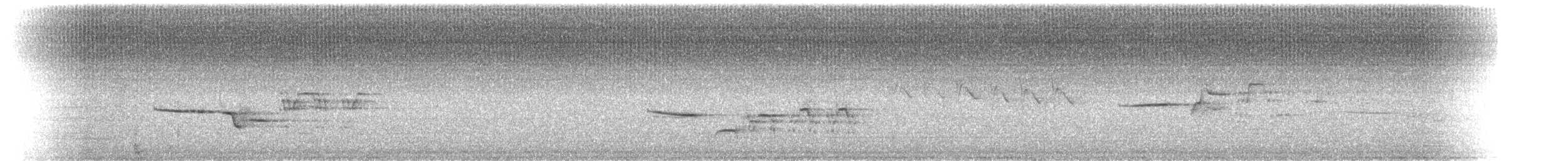 Münzevi Bülbül Ardıcı - ML622125940