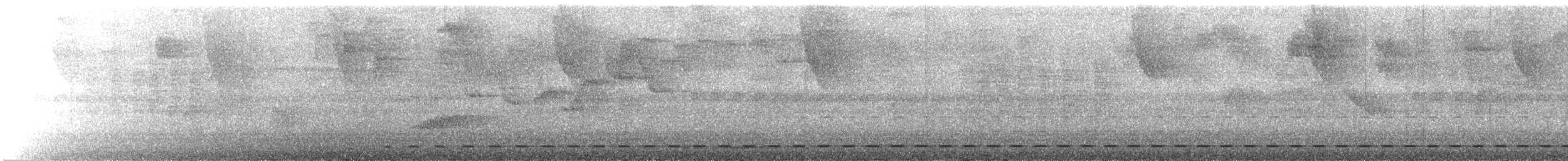 Streifenbrust-Ameisendrossel - ML622126258