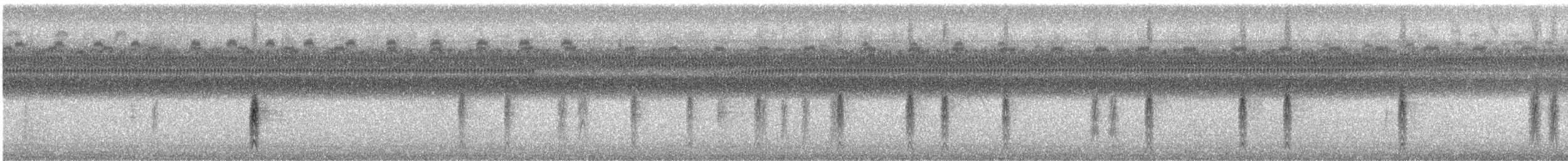 ハゴロモガラス（phoeniceus グループ） - ML622128392