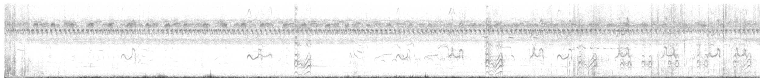 Chorlitejo Semipalmeado - ML622130116