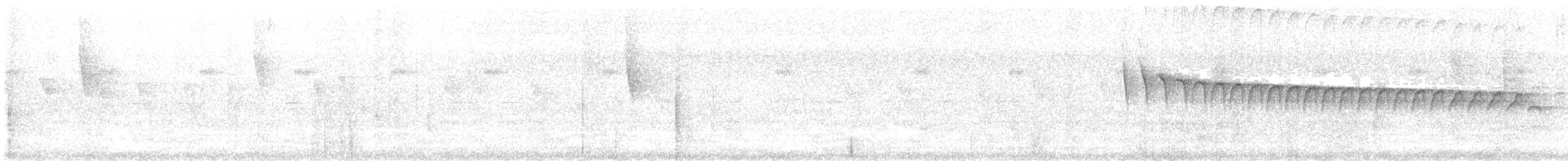Amazonian Elaenia - ML622130459