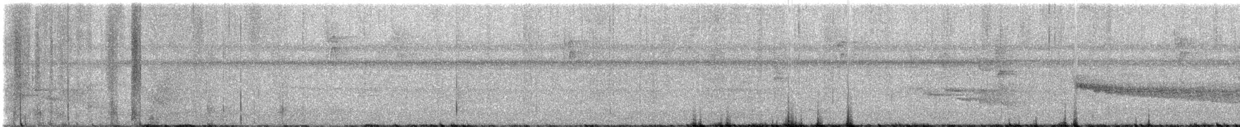 Grauband-Ameisenvogel - ML622131591