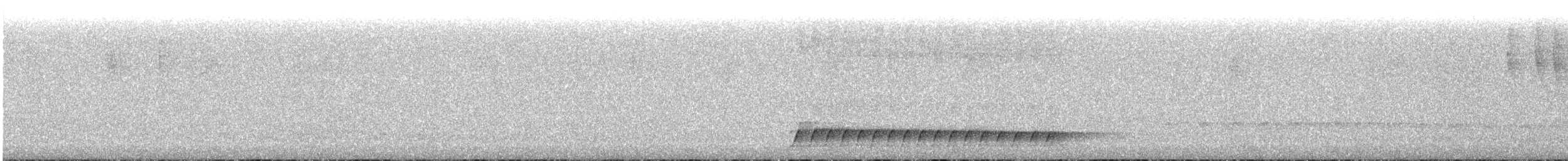 Short-tailed Antthrush - ML622136413