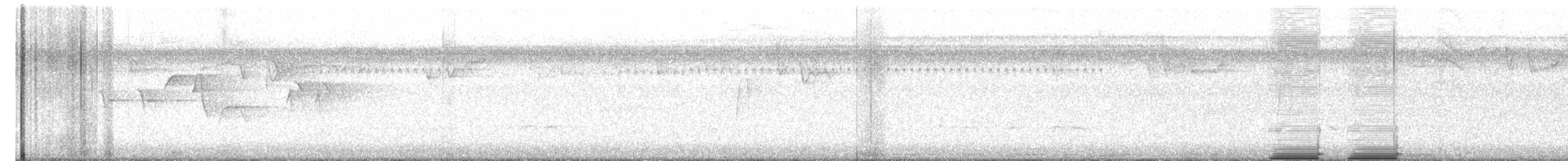 Empidonax sp. - ML622141077