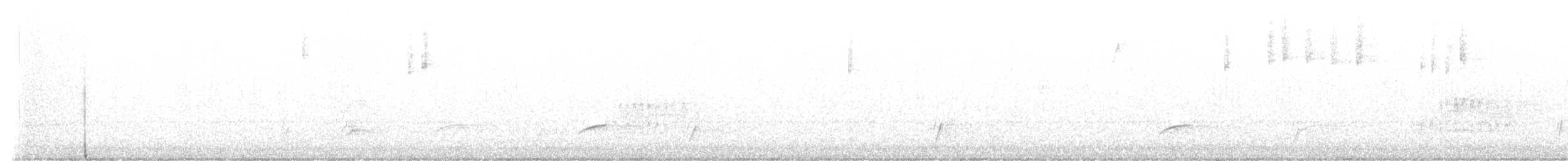 Дрізд-короткодзьоб Cвенсона - ML622150093