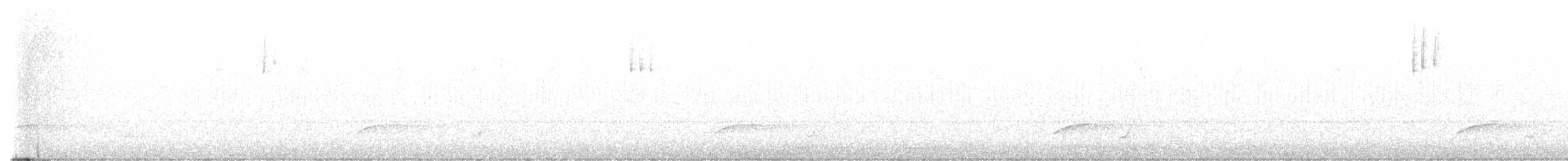 Дрізд-короткодзьоб Cвенсона - ML622150094