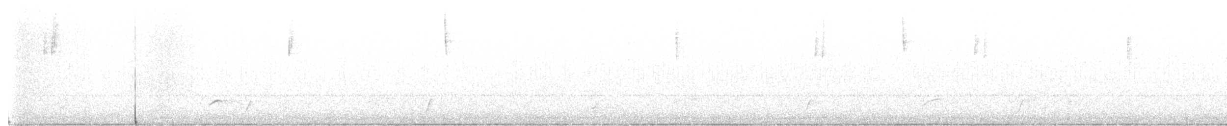 Дрізд-короткодзьоб Cвенсона - ML622150095