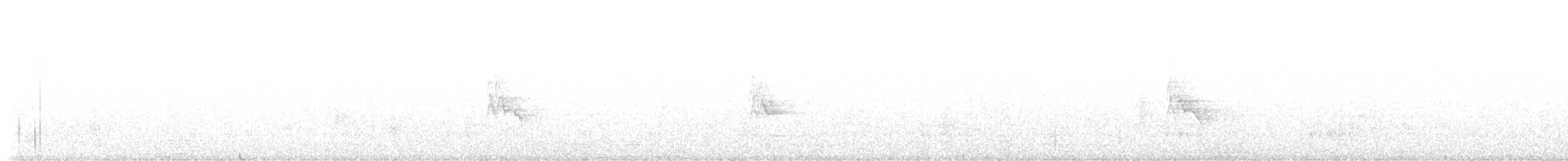 Белокрылая канделита - ML622152563