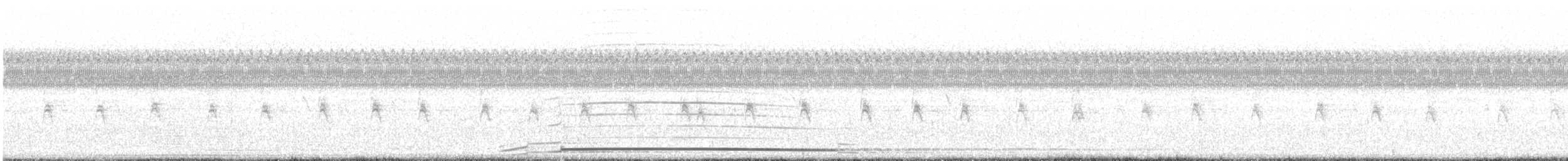 Common Loon - ML622157623