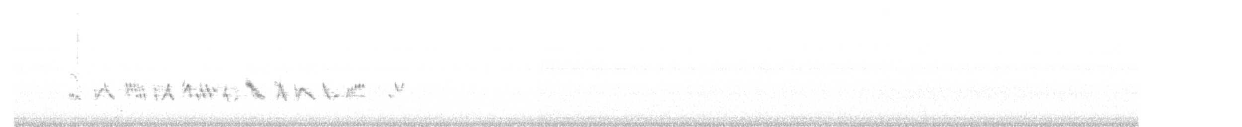 papežík modrý - ML622158619