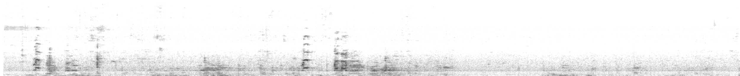 Coscoroba Swan - ML622164567