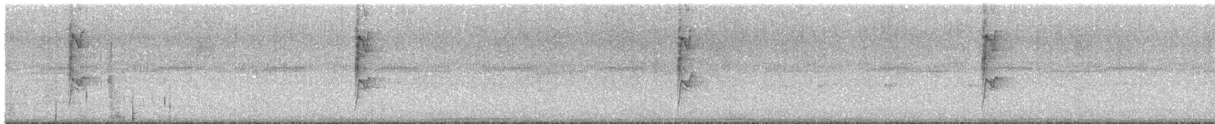 Restinga Tyrannulet - ML622166528