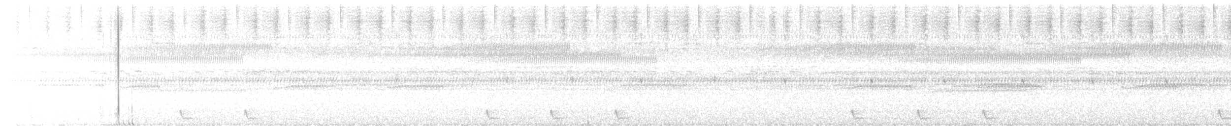 Chotacabras Macruro - ML622166585