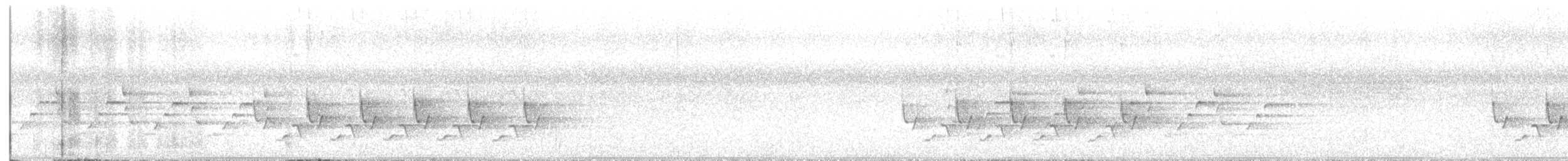Carolina Wren - ML622167984