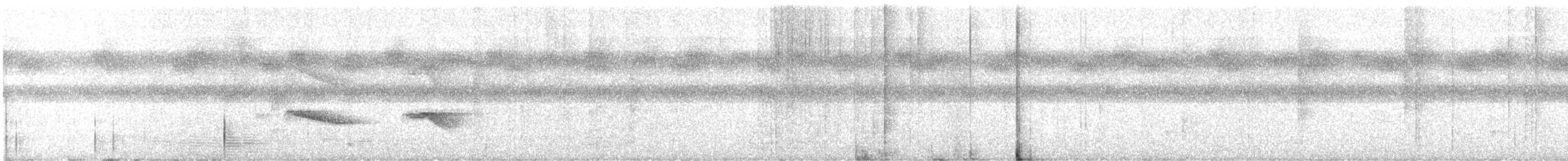 Ringed Antpipit - ML622173067