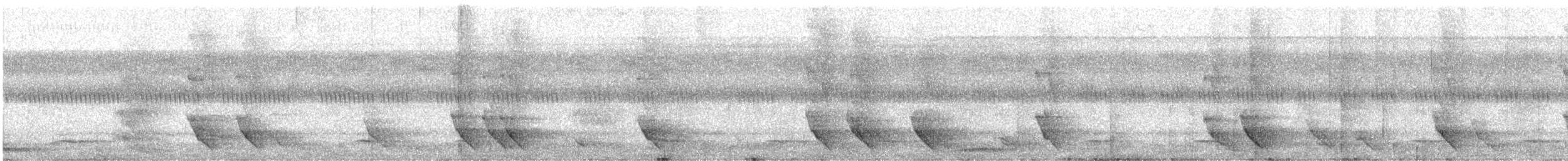 Azure-naped Jay - ML622174635