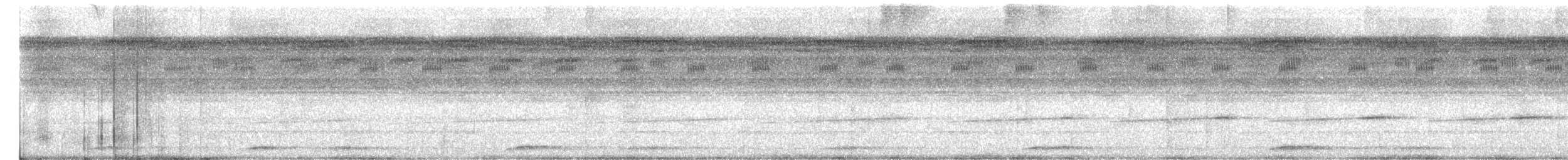 Grisin sanglé - ML622174778