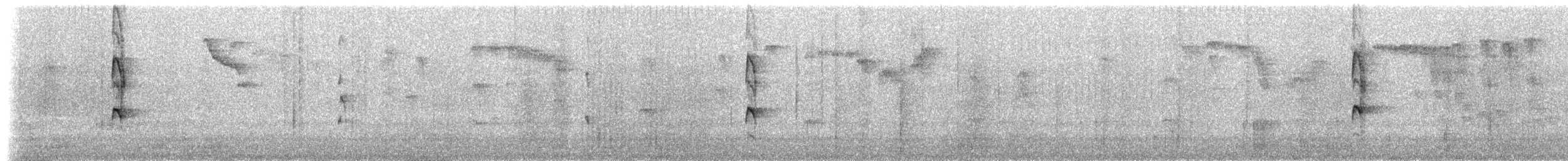 Streak-necked Flycatcher - ML622180789
