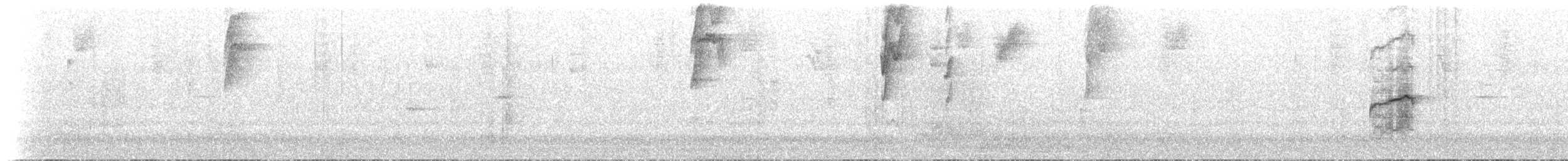 Tyranneau à sourcils blancs - ML622181014