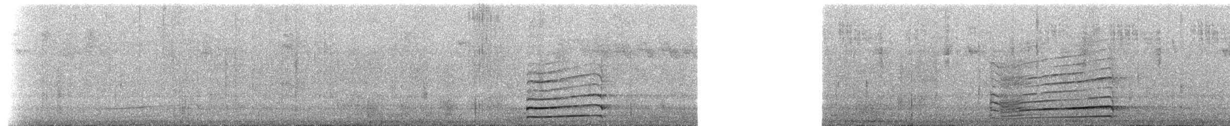 Gray-breasted Mountain-Toucan - ML622181122