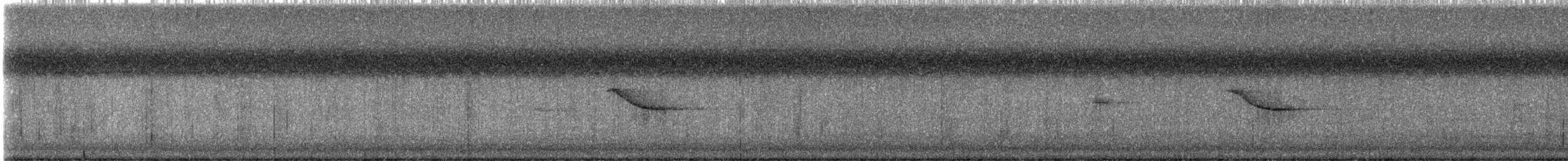 Red-winged Blackbird - ML622182966