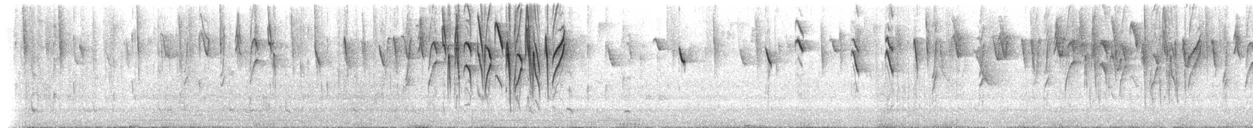 Maskenhakenschnabel - ML622184094