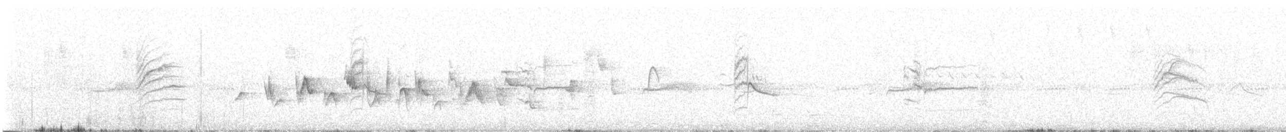 Dusky Hummingbird - ML622185449