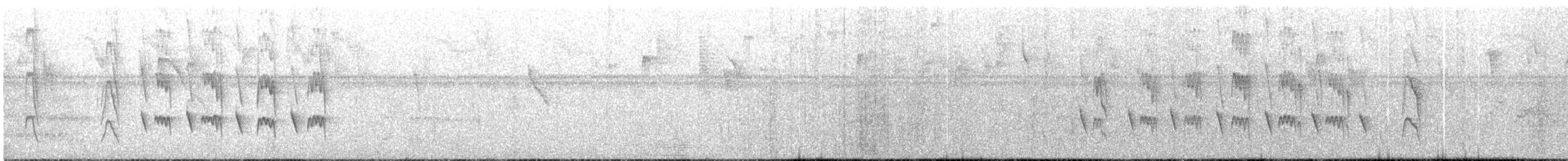 Cryptic Becard - ML622186665