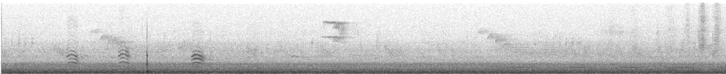 ムナジロゴジュウカラ（carolinensis） - ML622188997