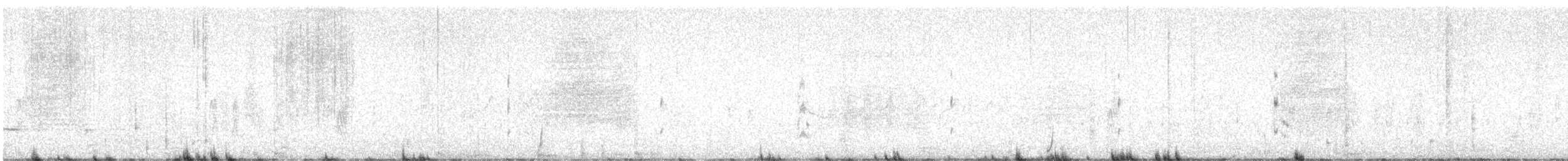 שחפית שחורת-אוזן - ML622191536