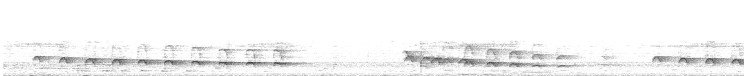 Weißflanken-Ameisenschlüpfer - ML62219221