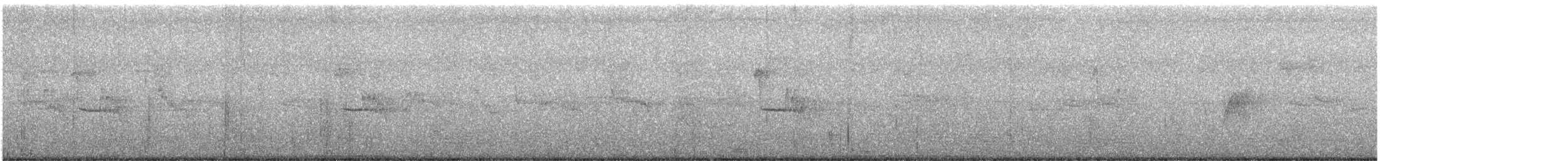 Black Wood-Pigeon - ML622196480