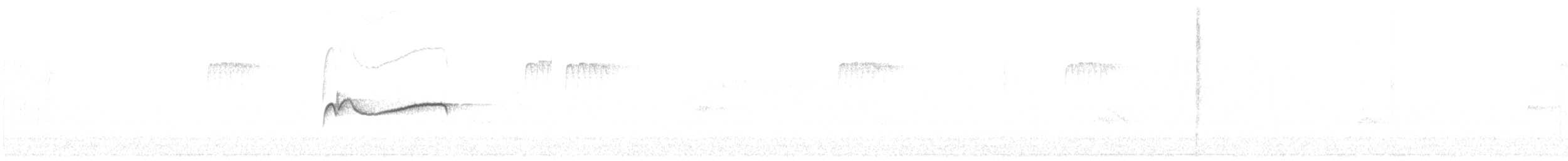 Eastern Wood-Pewee - ML622203280