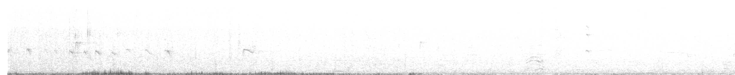 ギンパラ - ML622204035