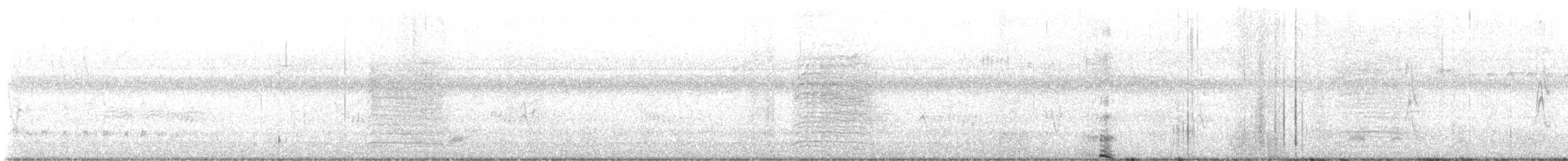 White-eyed Vireo - ML622204706