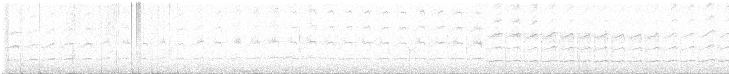 sapsucker sp. - ML622204893