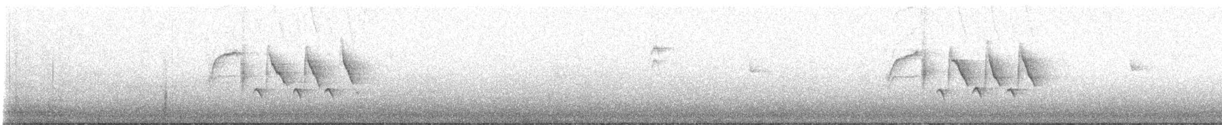 Bewick's Wren - ML622205344