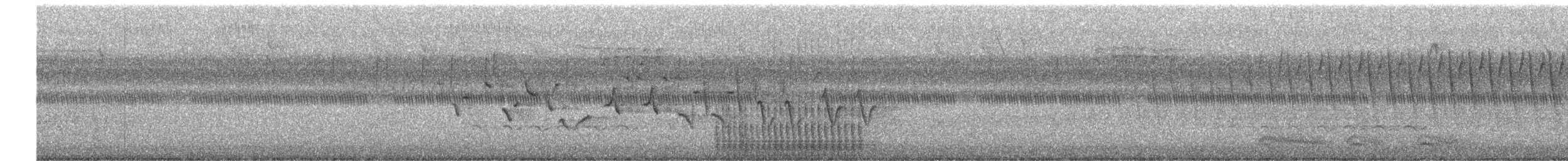 strakapoud americký - ML622212575