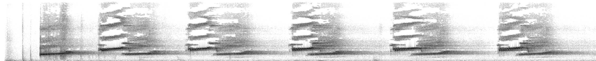オオマダラキーウィ - ML622218654