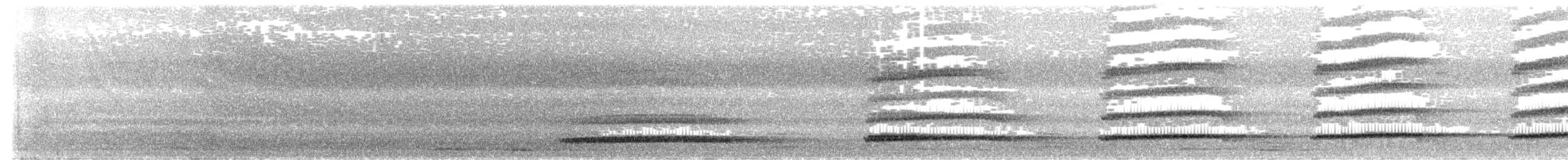 オオマダラキーウィ - ML622218656