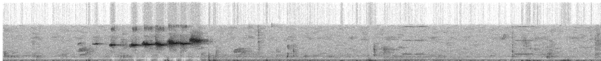 Gray-and-gold Warbler - ML622219021