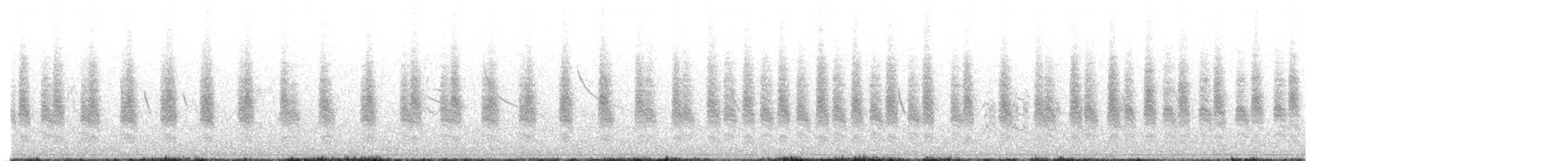 Pampazaunkönig (aequatorialis) - ML622221950