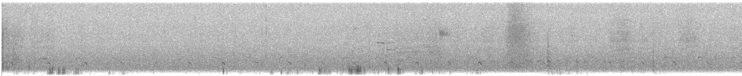kulíkovití sp. - ML622222069