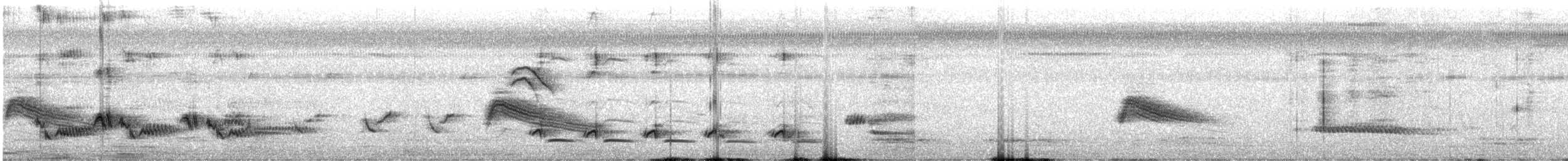 Tropical Mockingbird - ML622224161