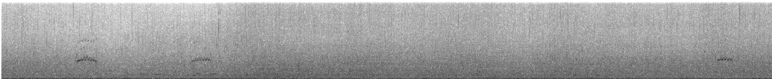 Bridled Tern - ML622224330
