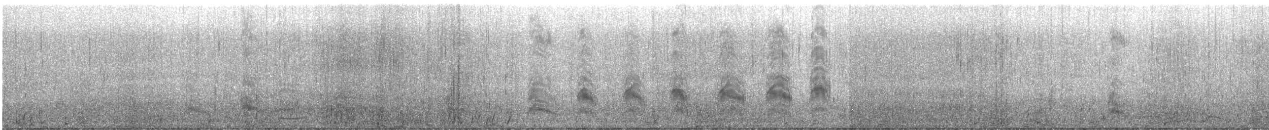 Bonaparte's Gull - ML622231368